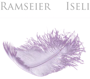 csm ram footer grafik 805207c3d2